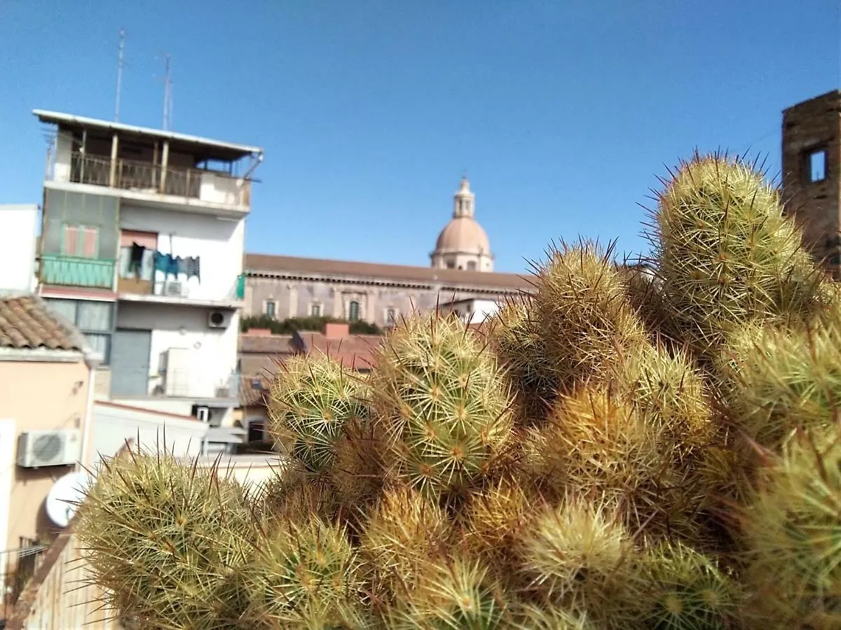 Casa Romans, Via Della Palma, 63 Apartment Catania